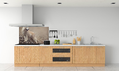 Glass splashback White wolf on the rock