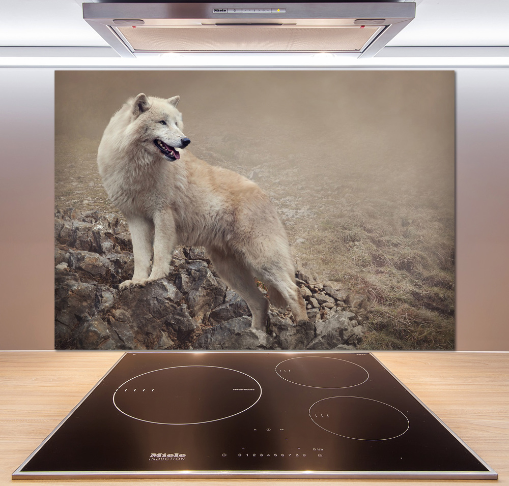 Glass splashback White wolf on the rock