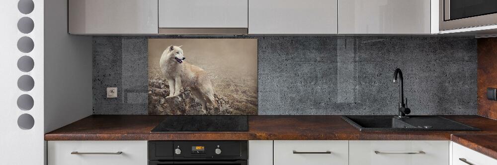 Glass splashback White wolf on the rock