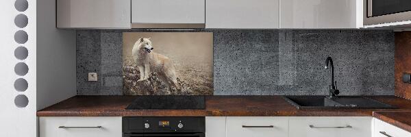 Glass splashback White wolf on the rock