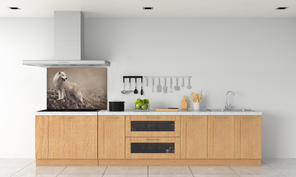 Glass splashback White wolf on the rock