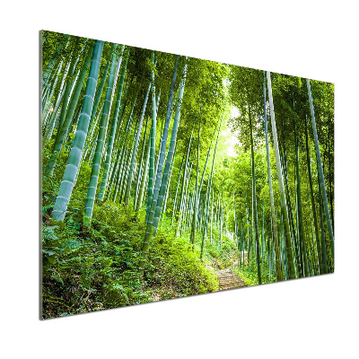 Kitchen splashback Bamboo forest