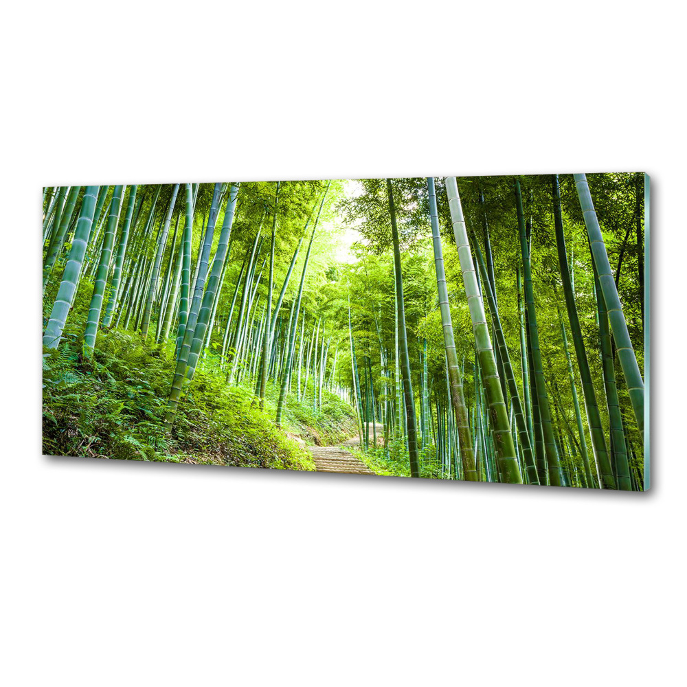 Kitchen splashback Bamboo forest