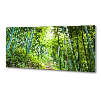 Kitchen splashback Bamboo forest