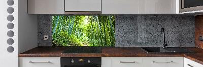 Kitchen splashback Bamboo forest