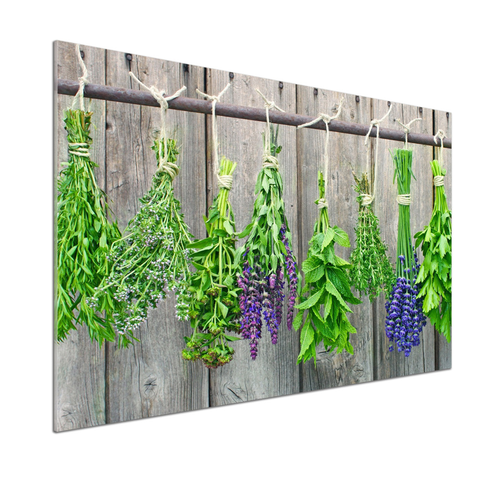 Cooker splashback Herbs on a string