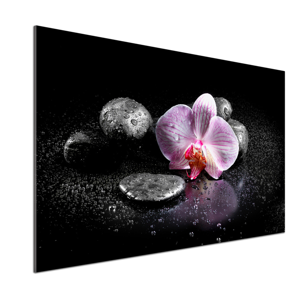 Cooker splashback Orchid