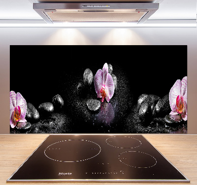 Cooker splashback Orchid