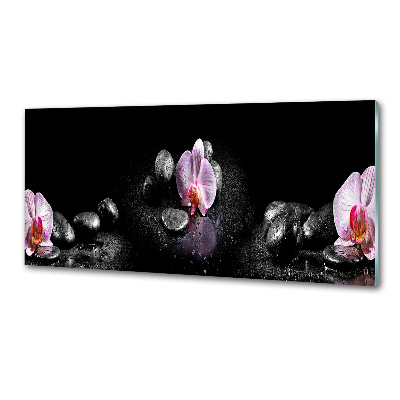 Cooker splashback Orchid