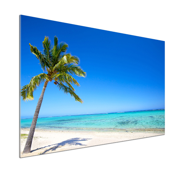 Kitchen wall panels Tropical beach