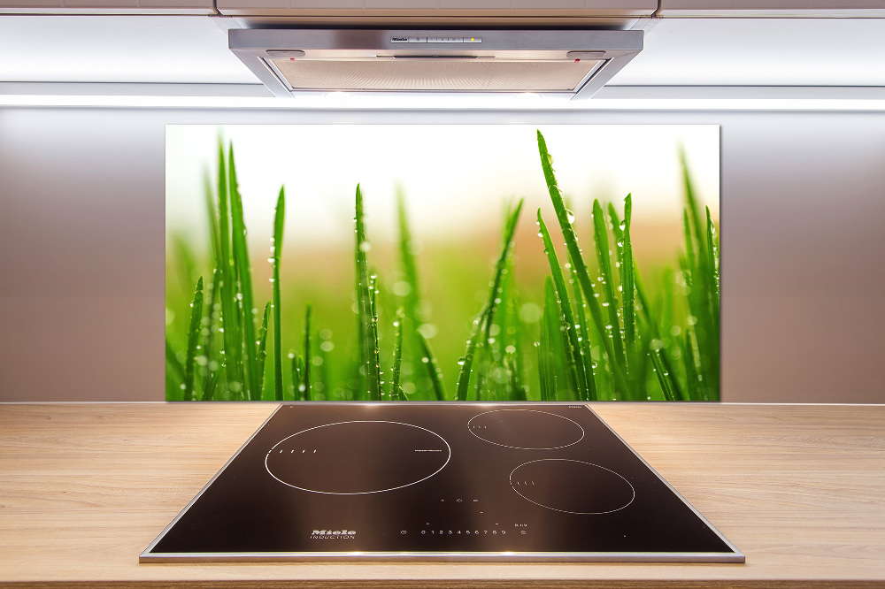 Cooker splashback Grass