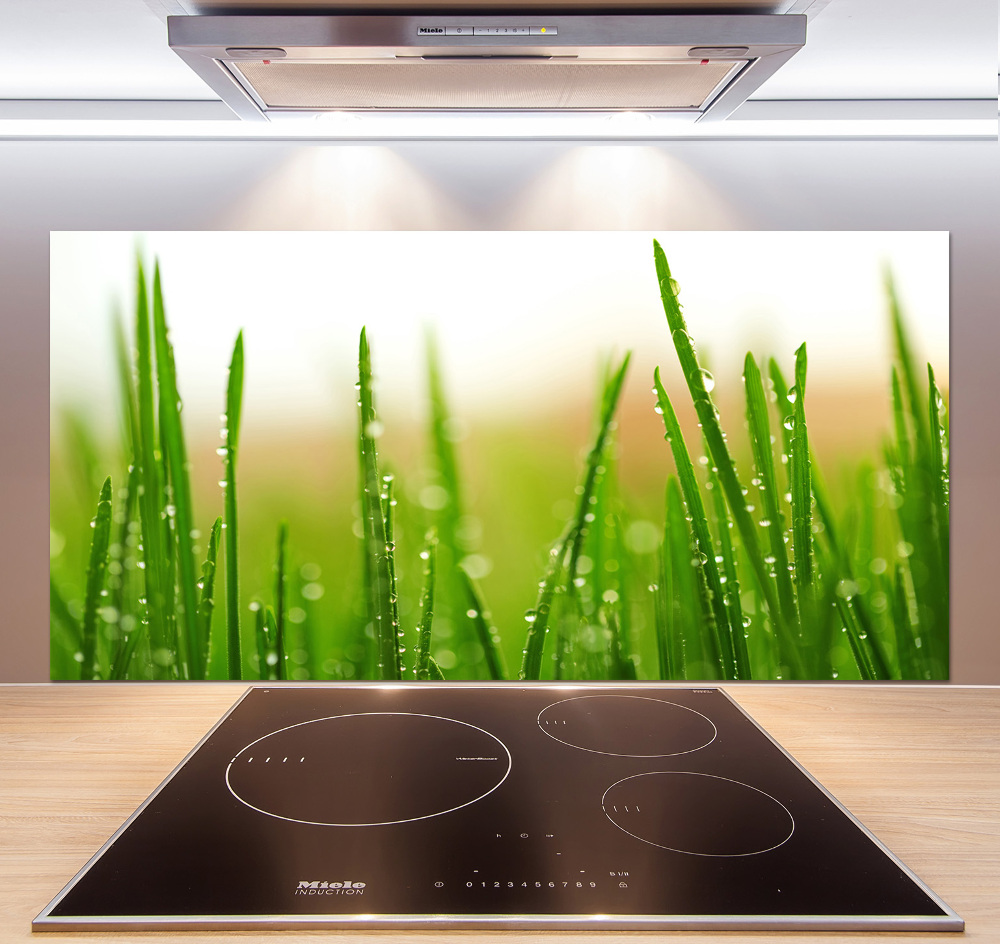 Cooker splashback Grass