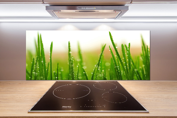 Cooker splashback Grass