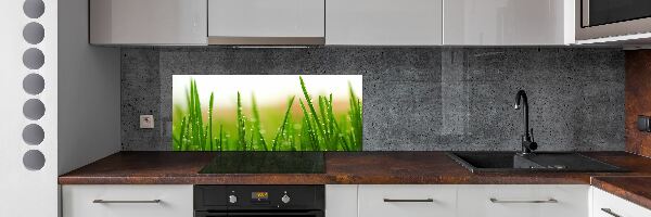 Cooker splashback Grass