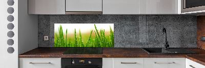 Cooker splashback Grass