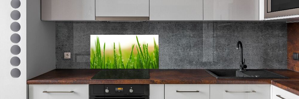 Cooker splashback Grass