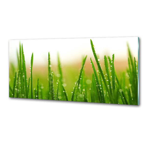 Cooker splashback Grass