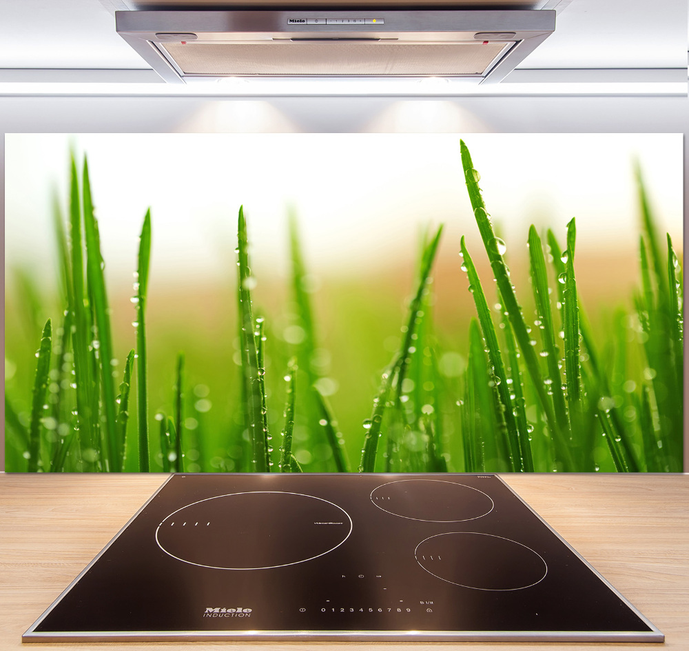 Cooker splashback Grass