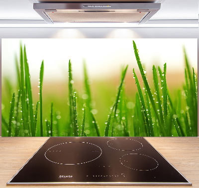 Cooker splashback Grass