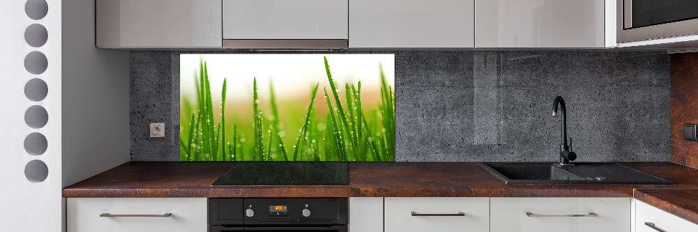 Cooker splashback Grass