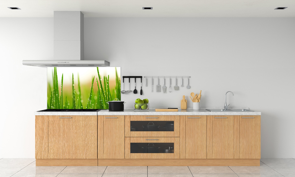 Cooker splashback Grass