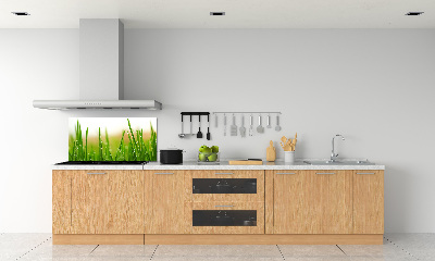 Cooker splashback Grass