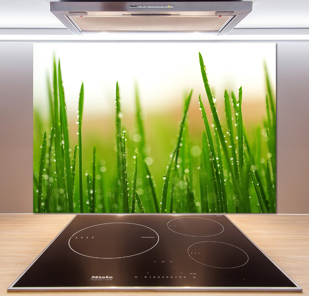 Cooker splashback Grass