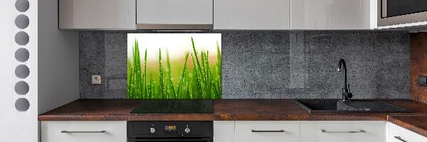 Cooker splashback Grass