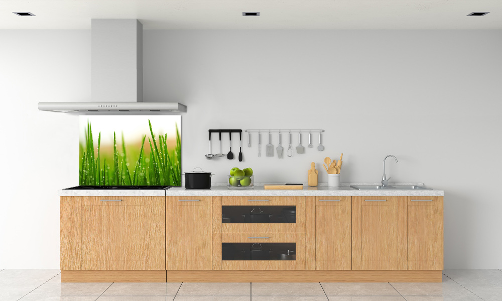 Cooker splashback Grass