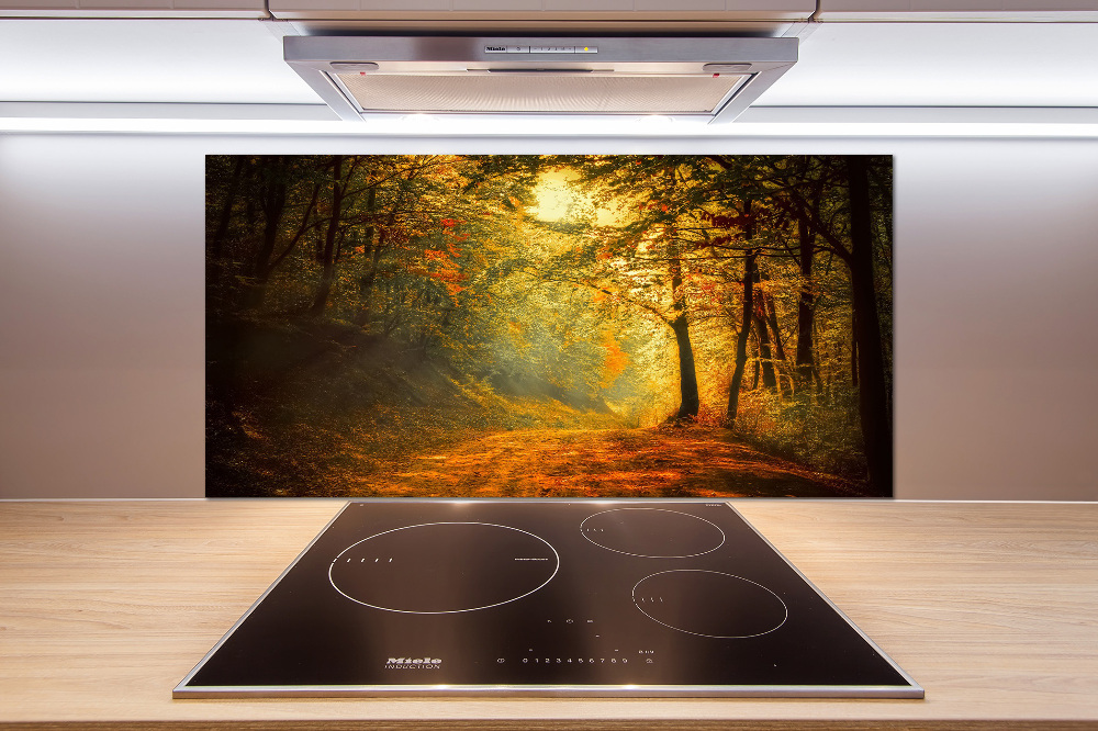 Cooker splashback Forest in autumn