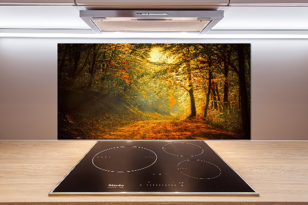 Cooker splashback Forest in autumn