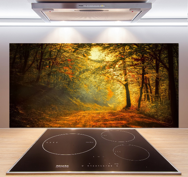 Cooker splashback Forest in autumn