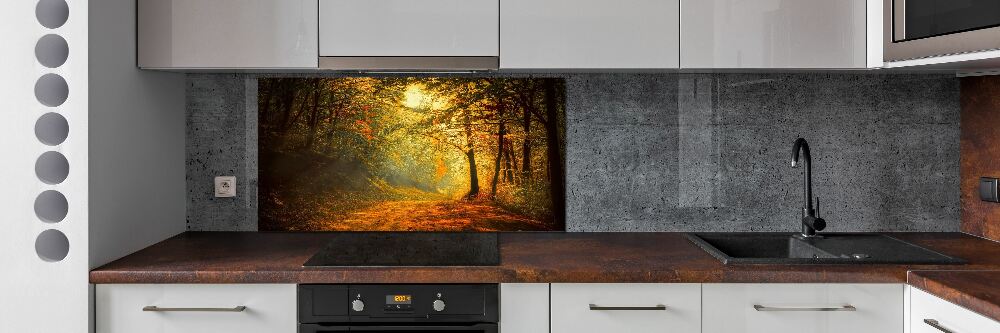 Cooker splashback Forest in autumn