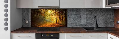 Cooker splashback Forest in autumn