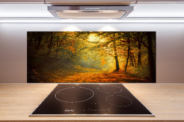 Cooker splashback Forest in autumn