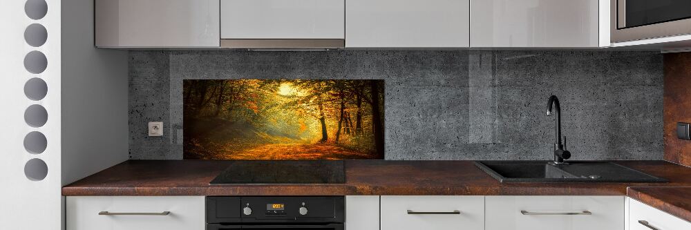 Cooker splashback Forest in autumn