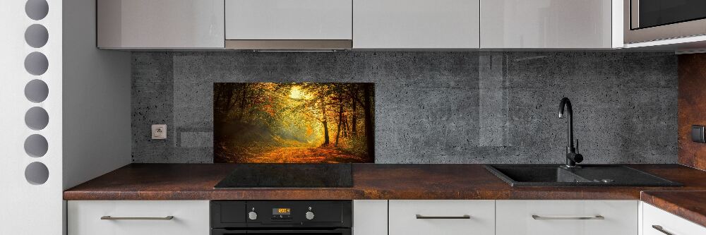 Cooker splashback Forest in autumn