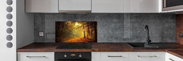 Cooker splashback Forest in autumn