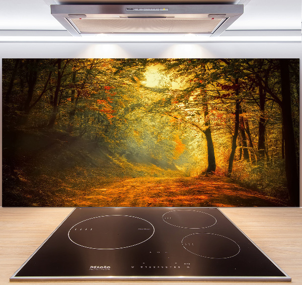 Cooker splashback Forest in autumn