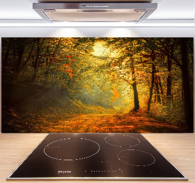 Cooker splashback Forest in autumn