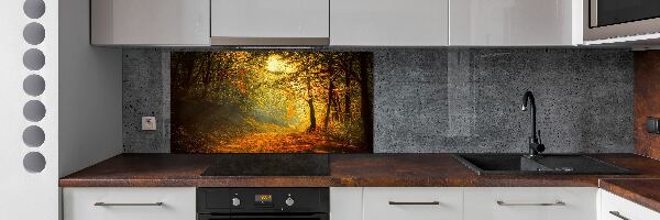 Cooker splashback Forest in autumn