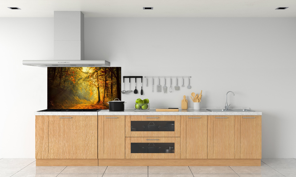 Cooker splashback Forest in autumn