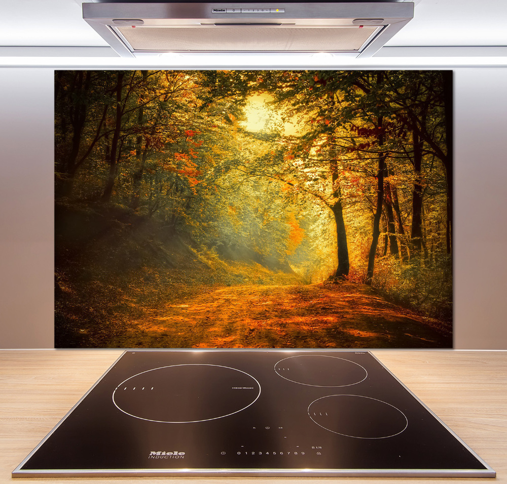 Cooker splashback Forest in autumn