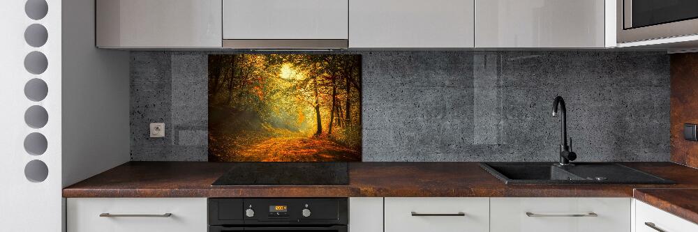 Cooker splashback Forest in autumn