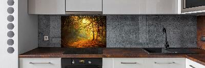 Cooker splashback Forest in autumn