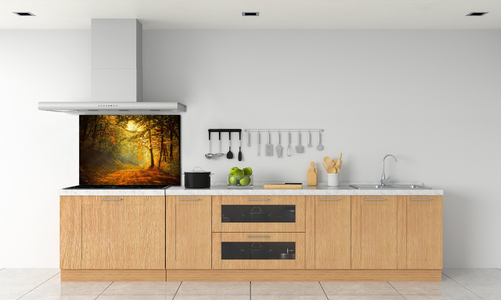 Cooker splashback Forest in autumn