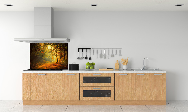 Cooker splashback Forest in autumn