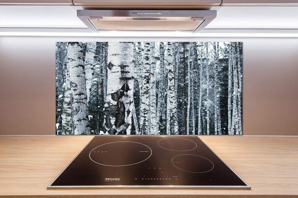 Cooker splashback Birch trees