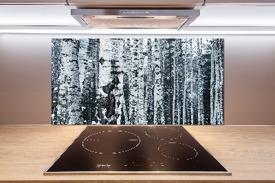 Cooker splashback Birch trees