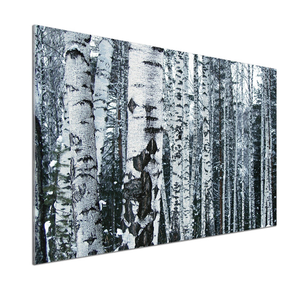 Cooker splashback Birch trees